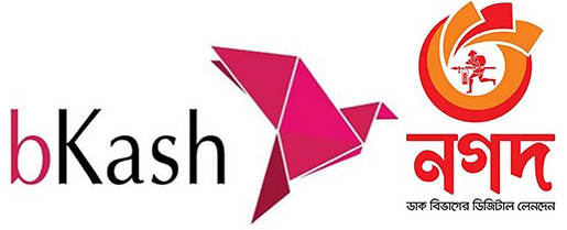 payment bkash logo